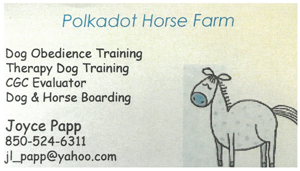 Polkadot Horse Farm